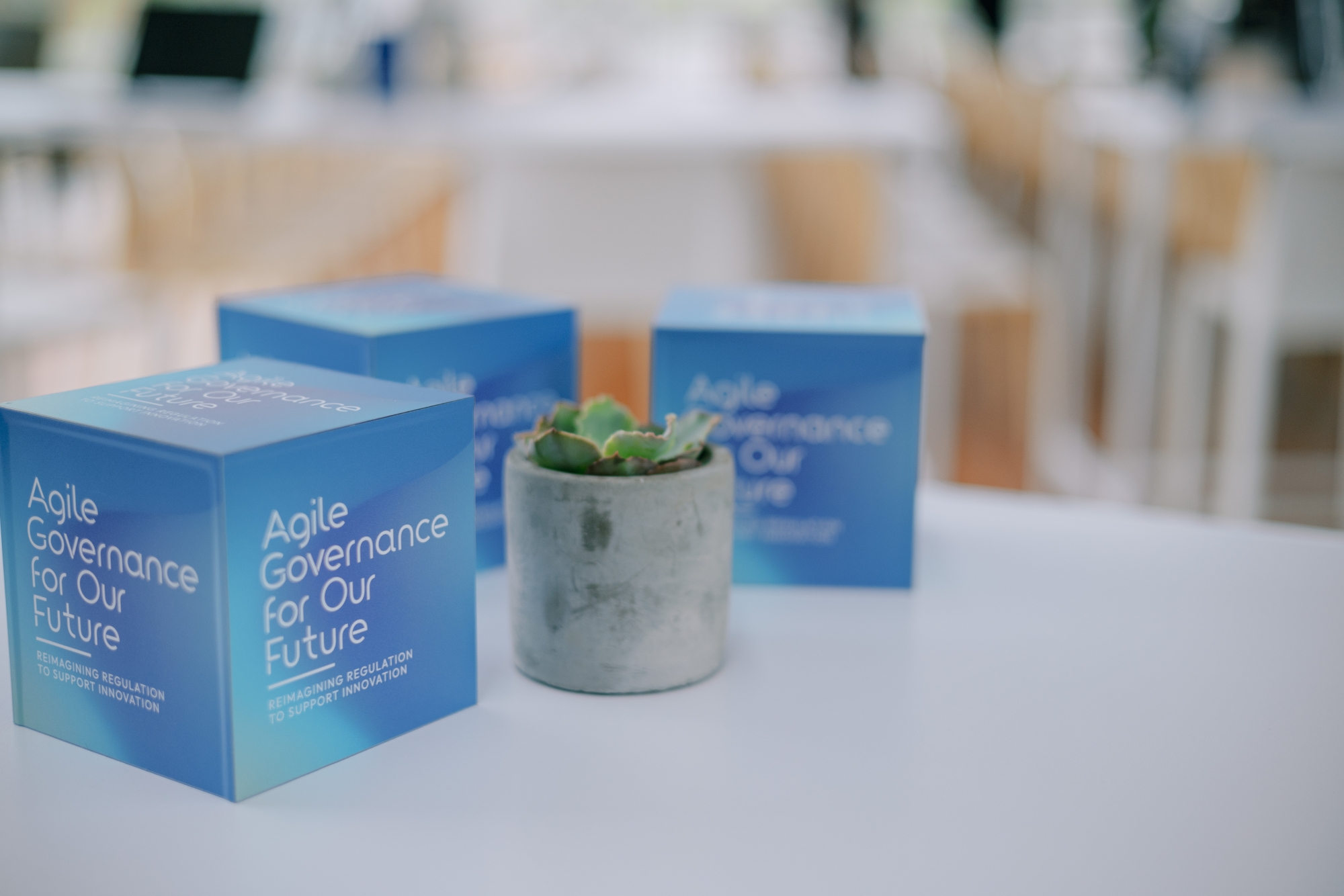 Photo of a plant and three paper boxes with event logo on each side