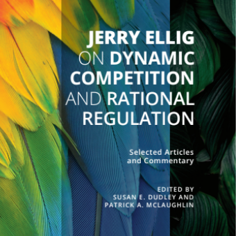 Jerry Ellig "On Dynamic Competition and Rational Regulation" book cover